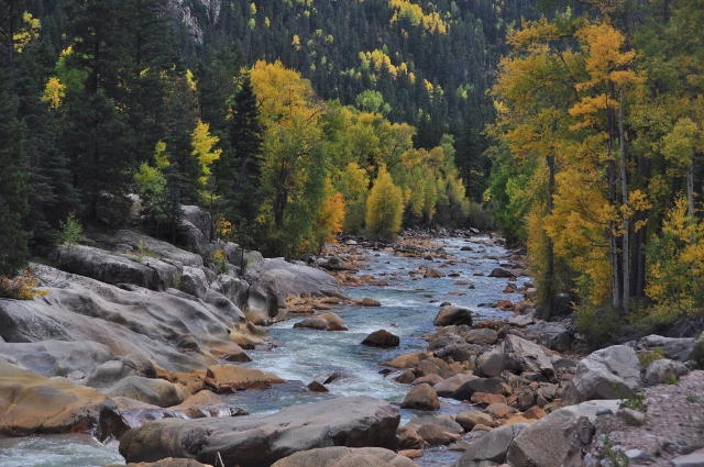 the scenery along the Animas River